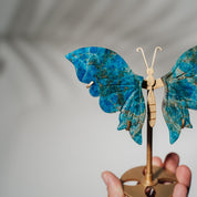 Apatit Schmetterling 36APC