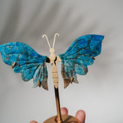 Apatit Schmetterling 36APB