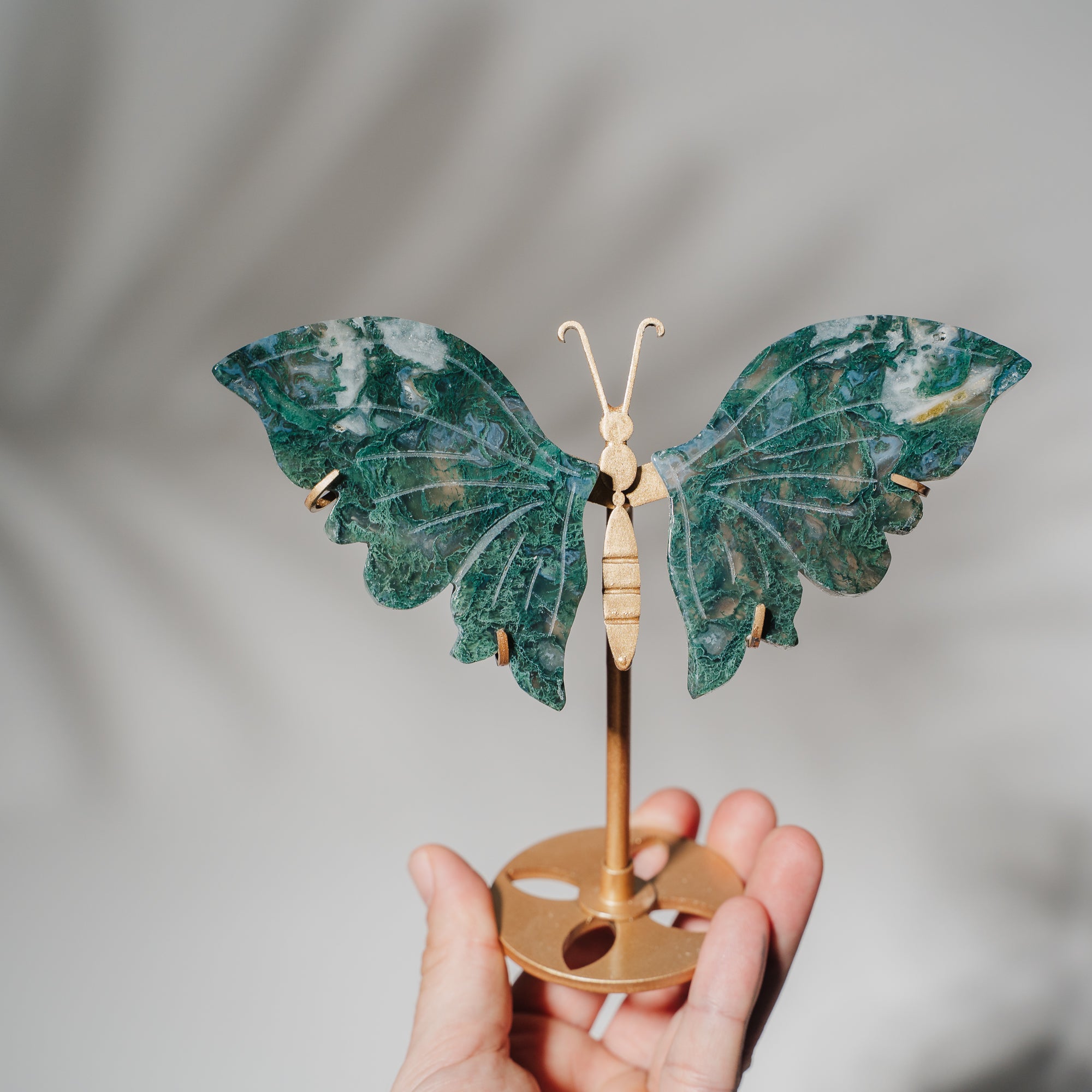 Moosachat Schmetterling 36MOD