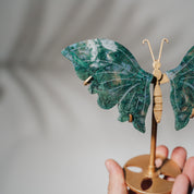 Moosachat Schmetterling 36MOD