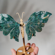 Moosachat Schmetterling 36MOD