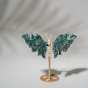 Moosachat Schmetterling 36MOD