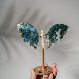 Moosachat Schmetterling 36MOC