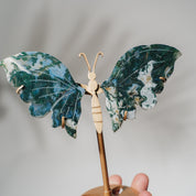 Moosachat Schmetterling 36MOC
