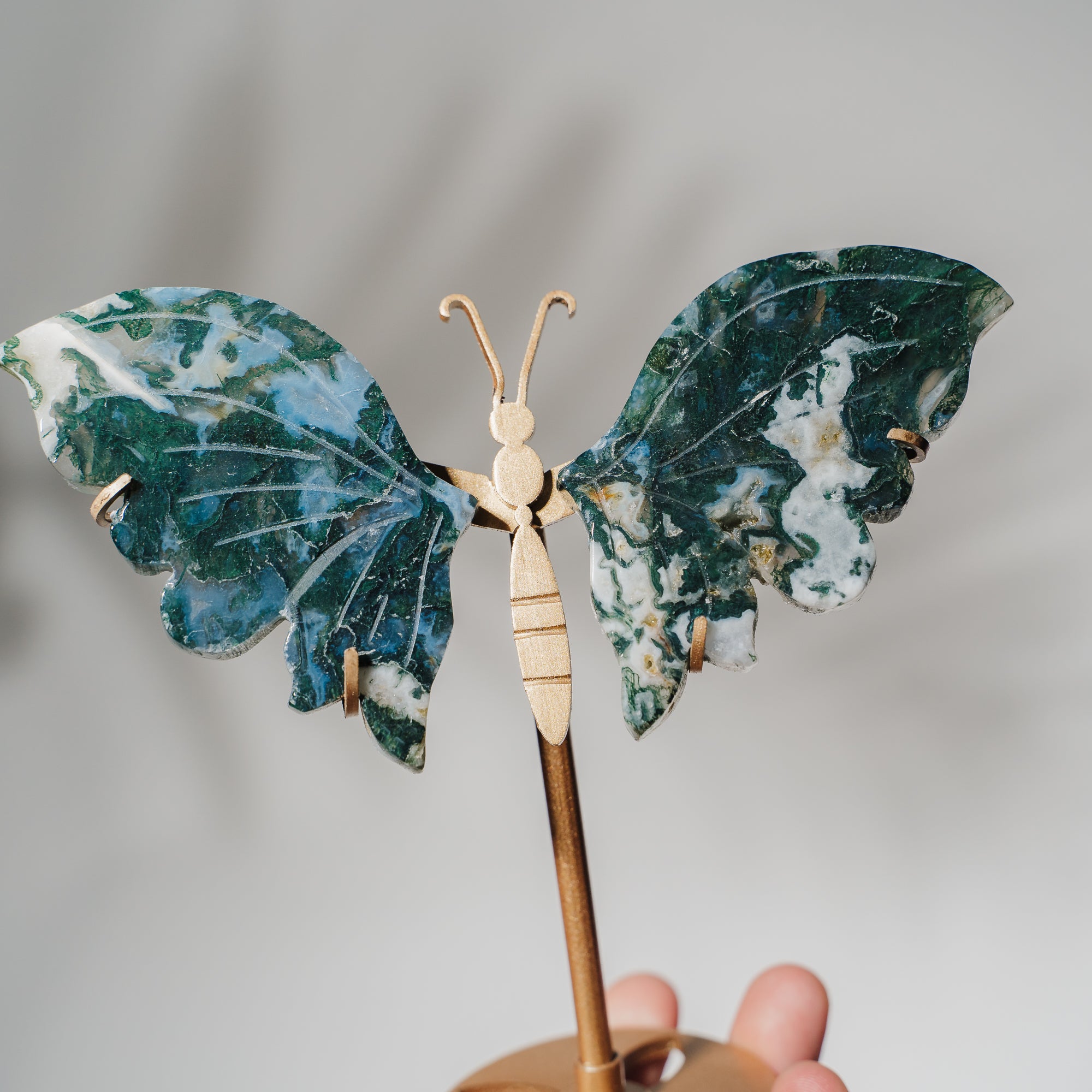 Moosachat Schmetterling 36MOC