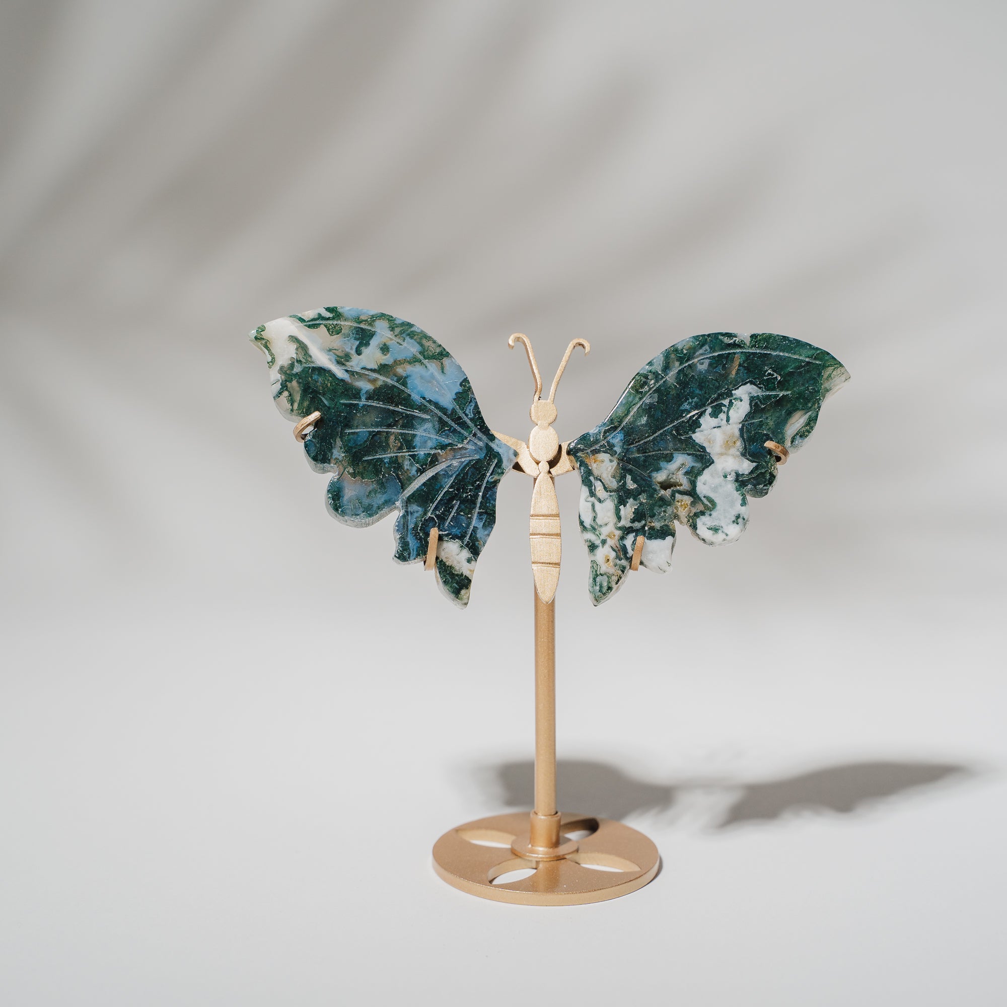 Moosachat Schmetterling 36MOC