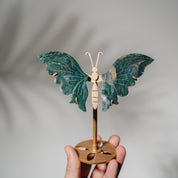 Moosachat Schmetterling 36MOB