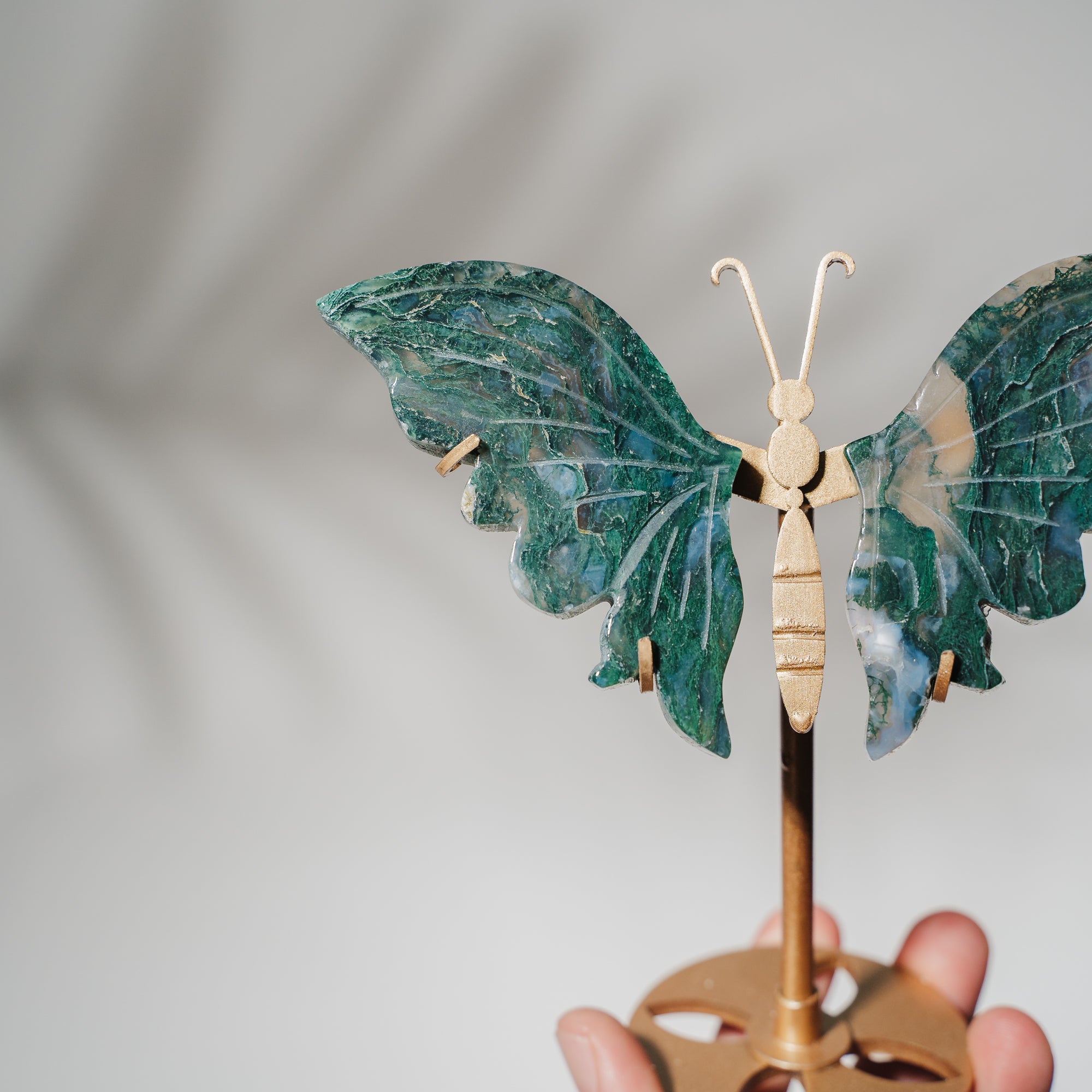 Moosachat Schmetterling 36MOB