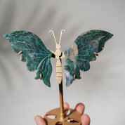 Moosachat Schmetterling 36MOB