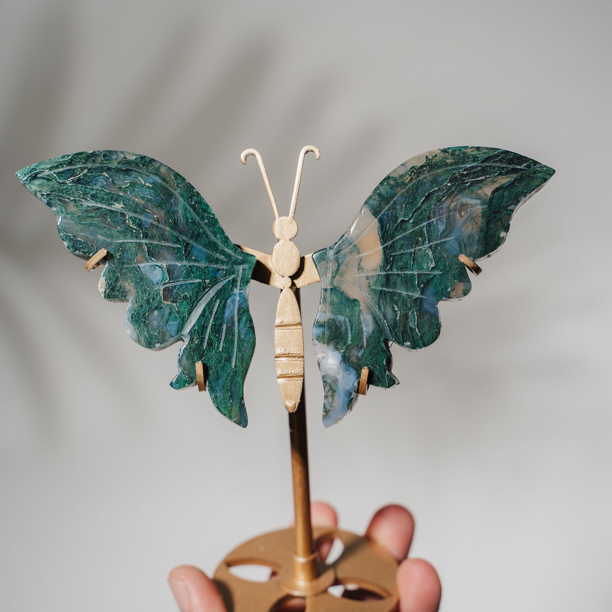 Moosachat Schmetterling 36MOB