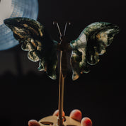 Moosachat Schmetterling 36MOB
