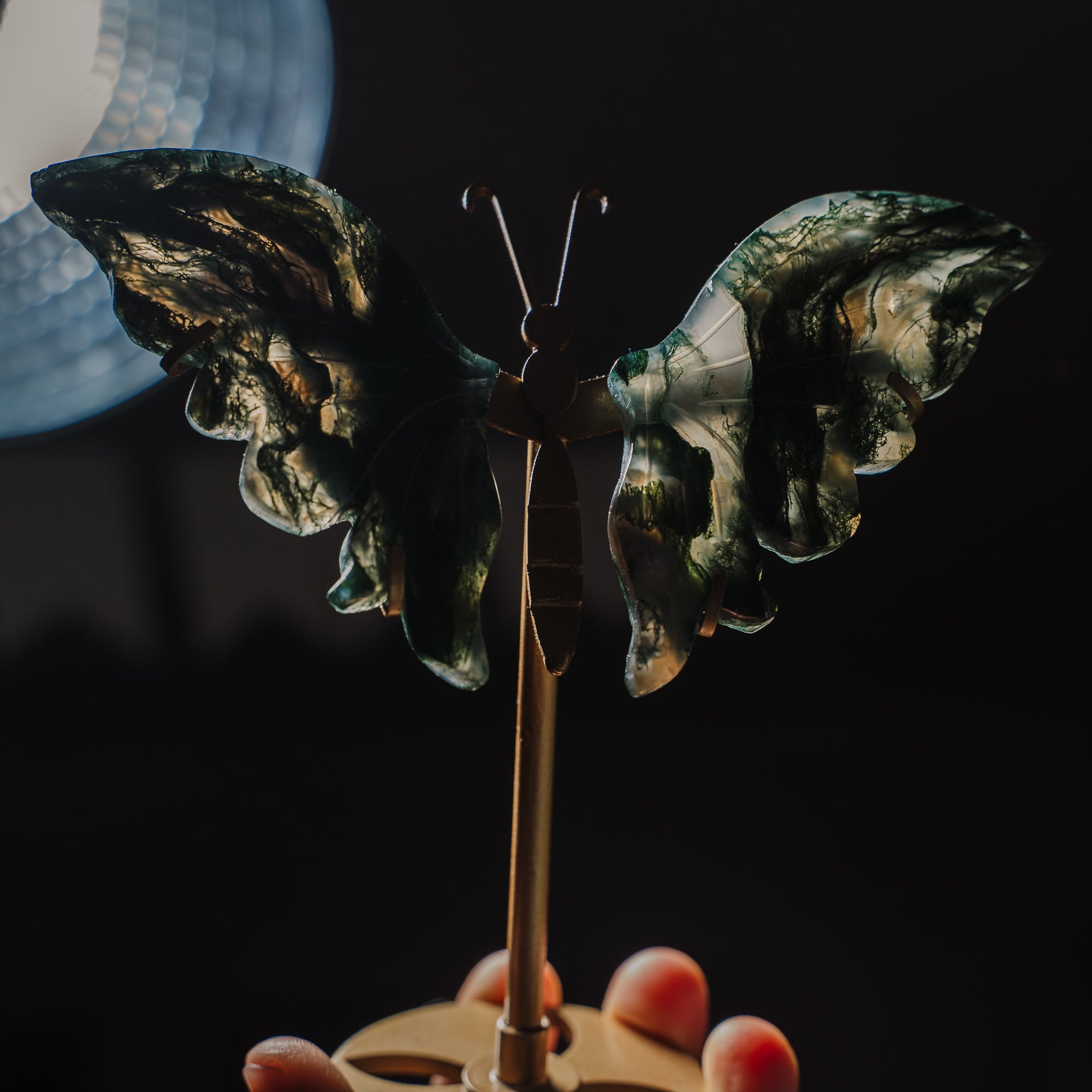 Moosachat Schmetterling 36MOB
