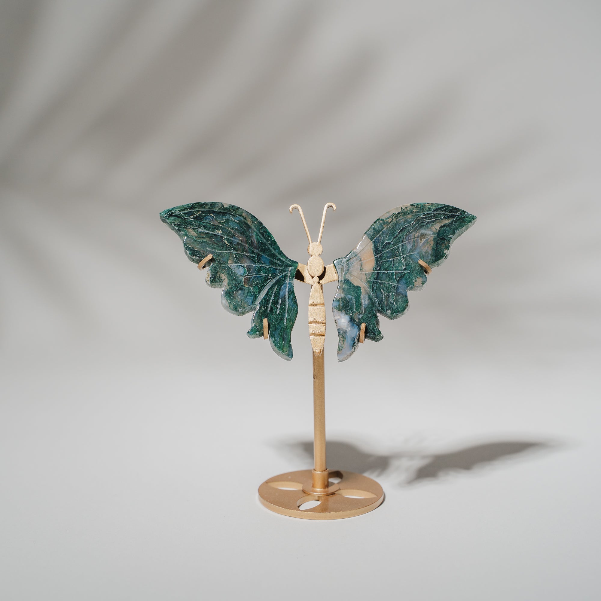 Moosachat Schmetterling 36MOB
