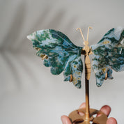 Moosachat Schmetterling 36MOA