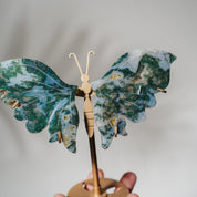 Moosachat Schmetterling 36MOA