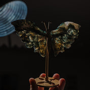Moosachat Schmetterling 36MOA