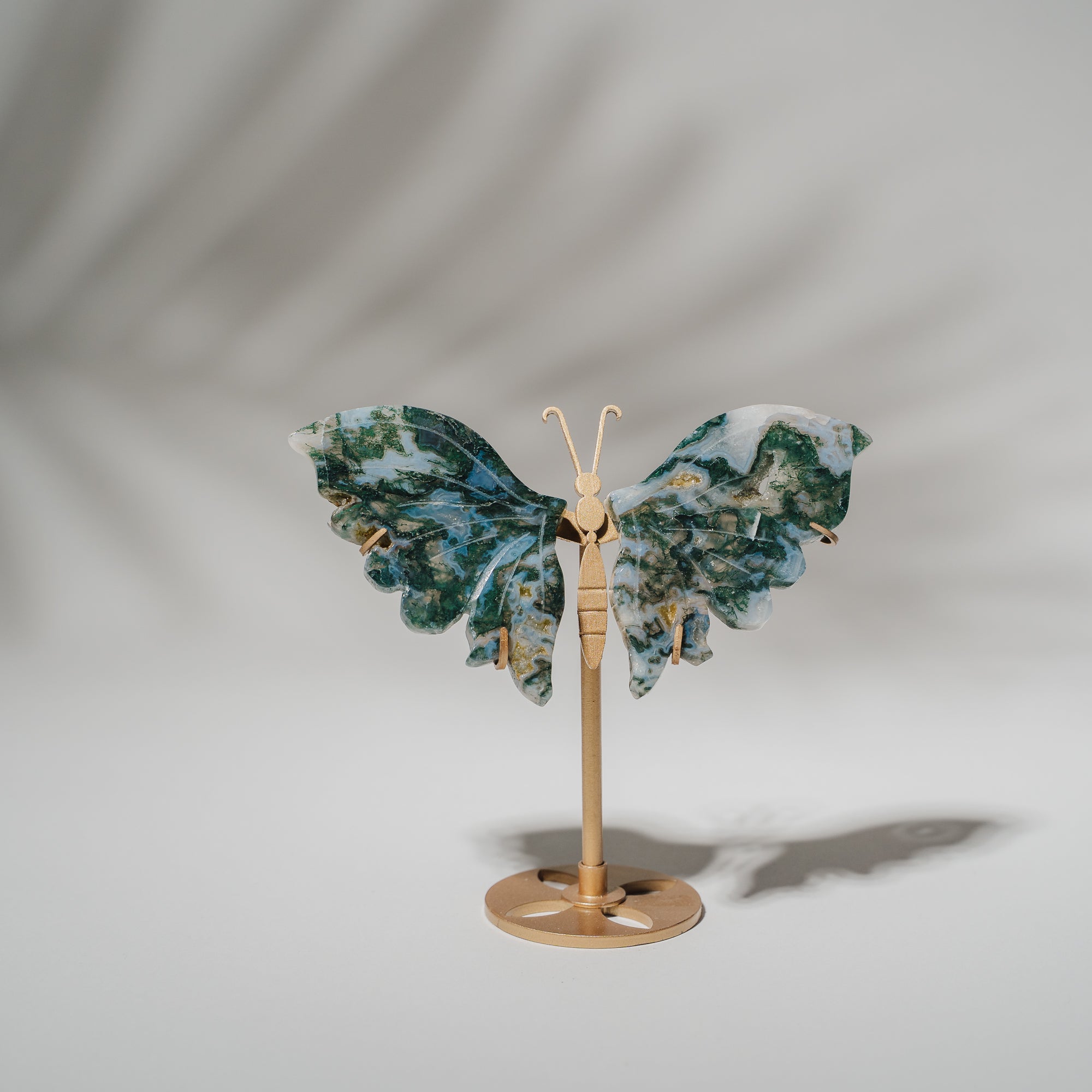 Moosachat Schmetterling 36MOA