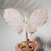 Pinker Amethyst Schmetterling 170P