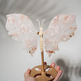 Pinker Amethyst Schmetterling 170P