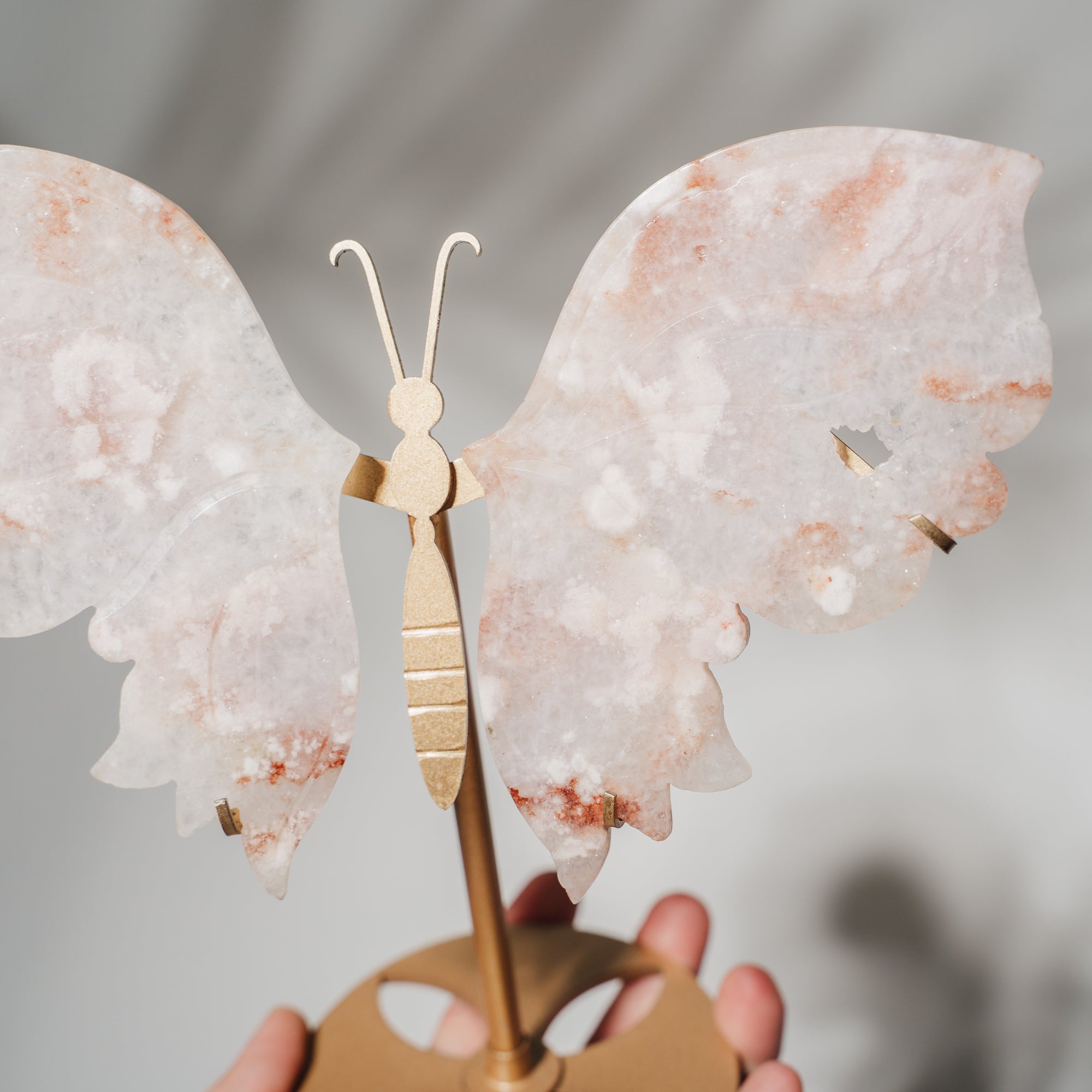 Pinker Amethyst Schmetterling 170P