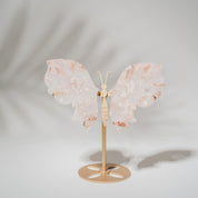 Pinker Amethyst Schmetterling 170P