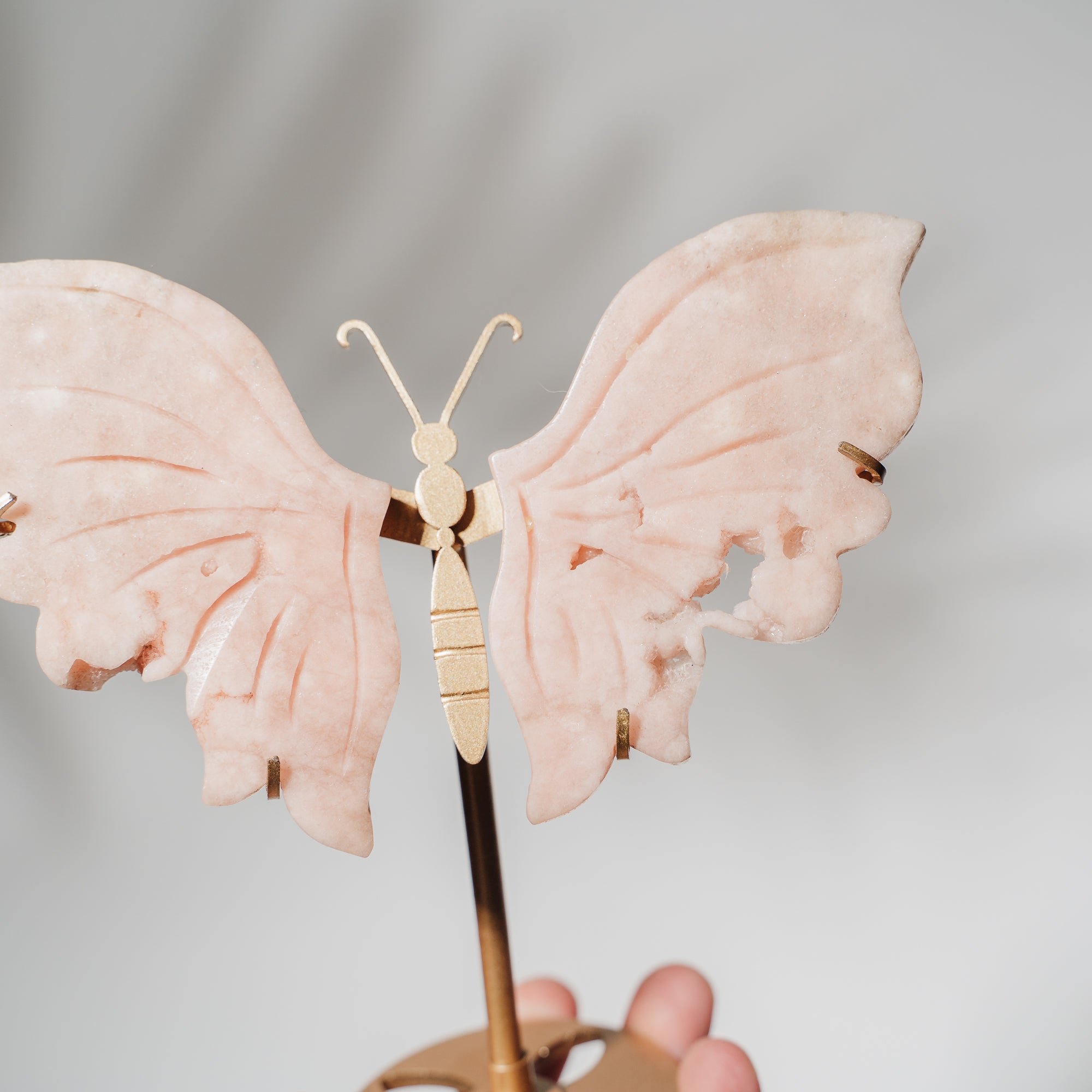 Pinker Amethyst Schmetterling 36PC