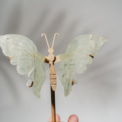 Prehnit Schmetterling 36PRC