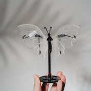 Bergkristall Schmetterling 36BC