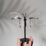Bergkristall Schmetterling 36BC