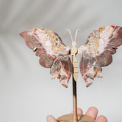 Mexikanischer Achat Schmetterling 36MMB