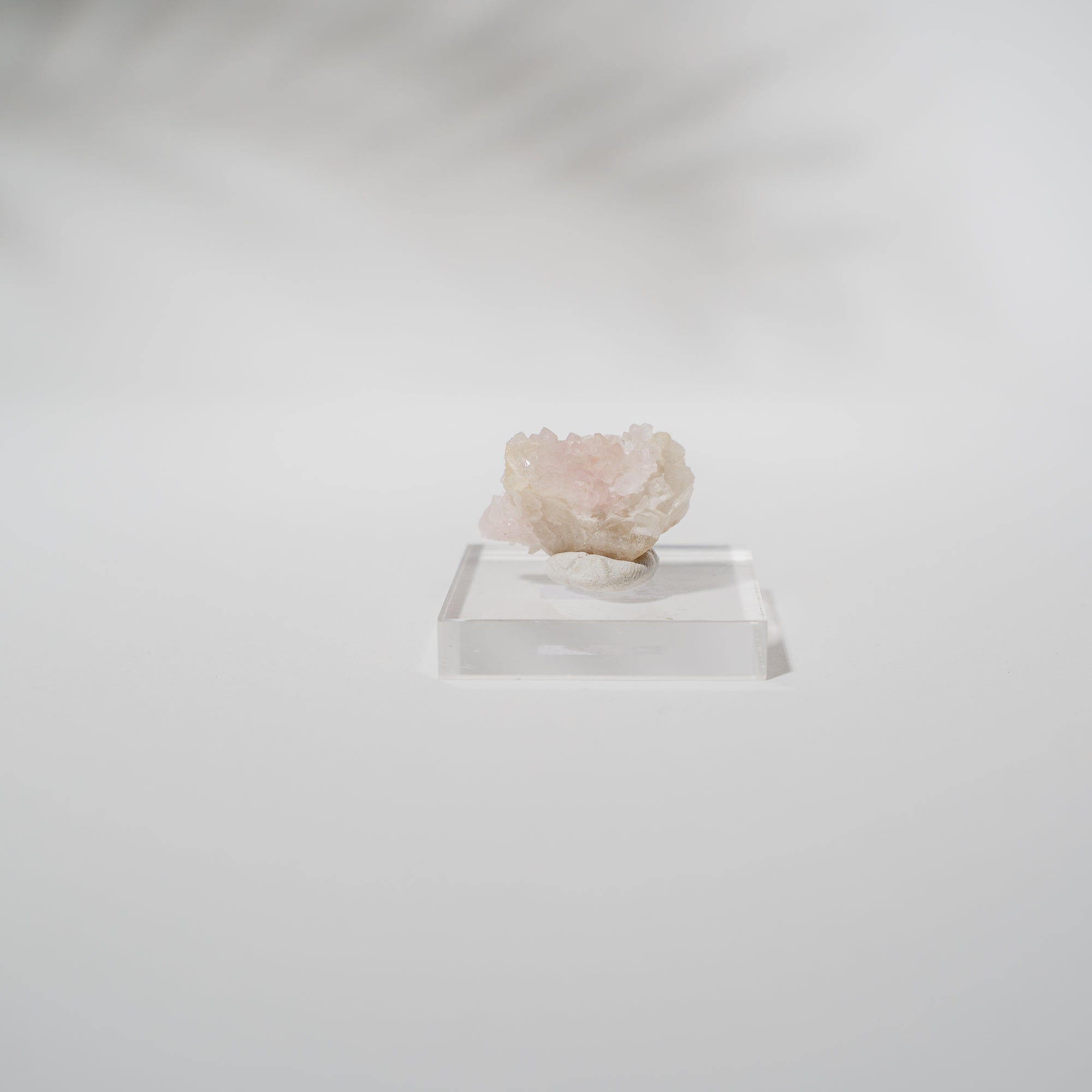 Canga Rosa, kristallisierter Rosenquarz 59CR
