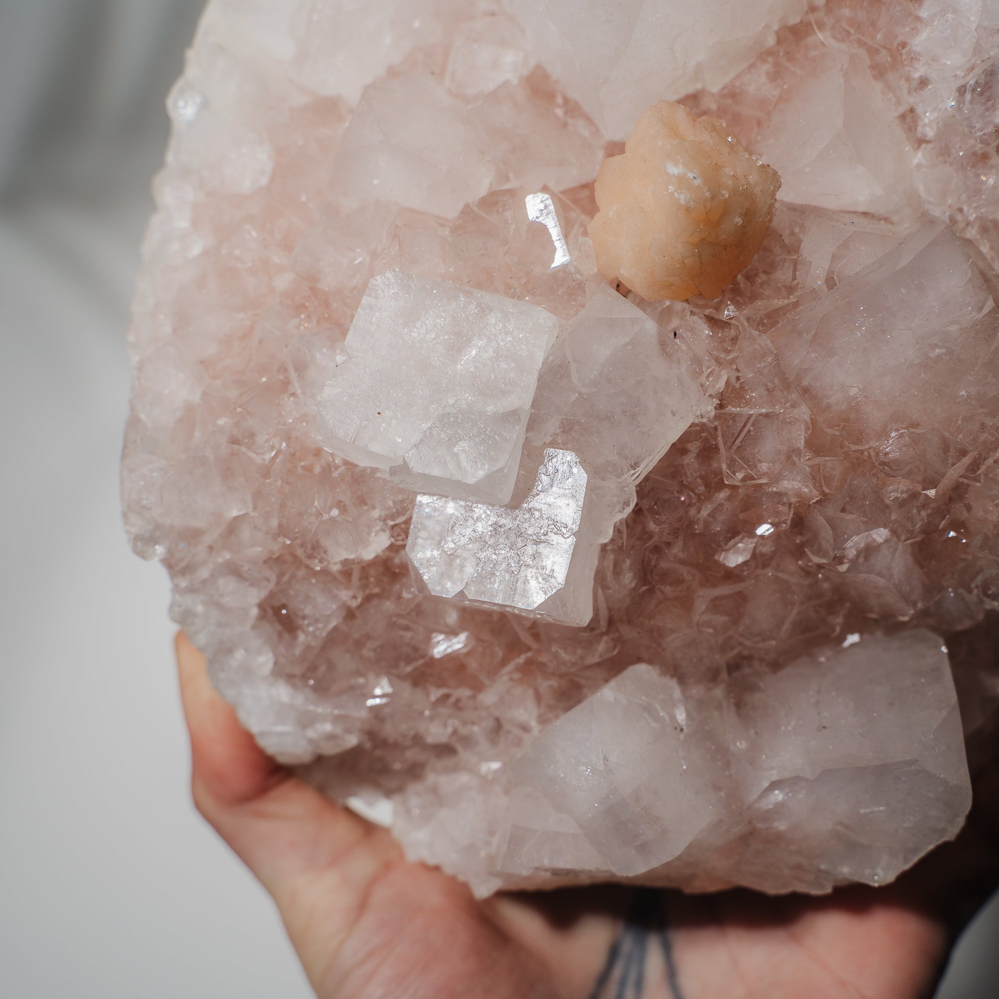 Pinke Apophyllit Stufe 530P