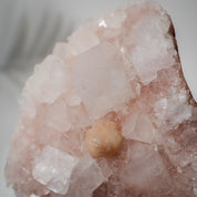 Pinke Apophyllit Stufe 530P