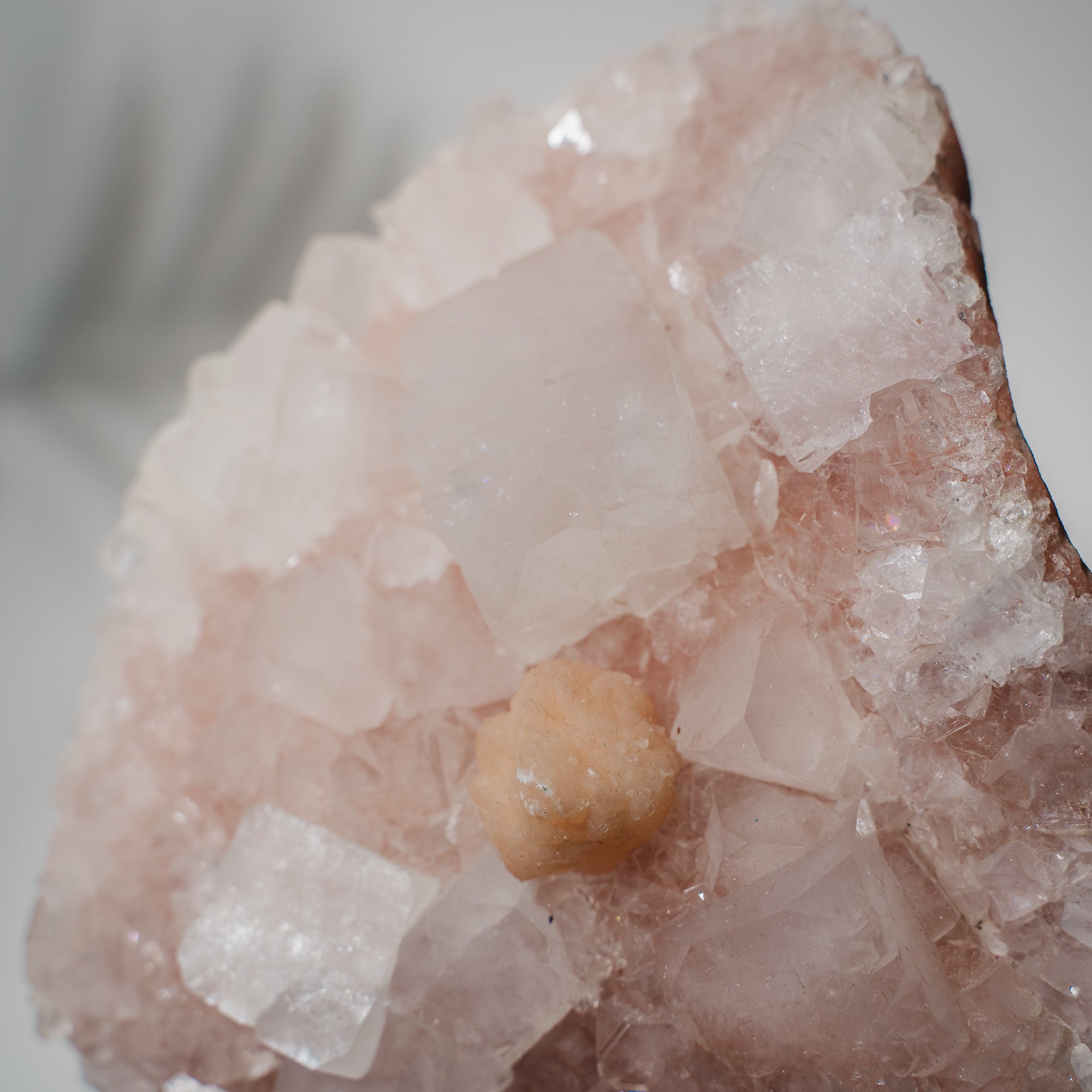 Pinke Apophyllit Stufe 530P