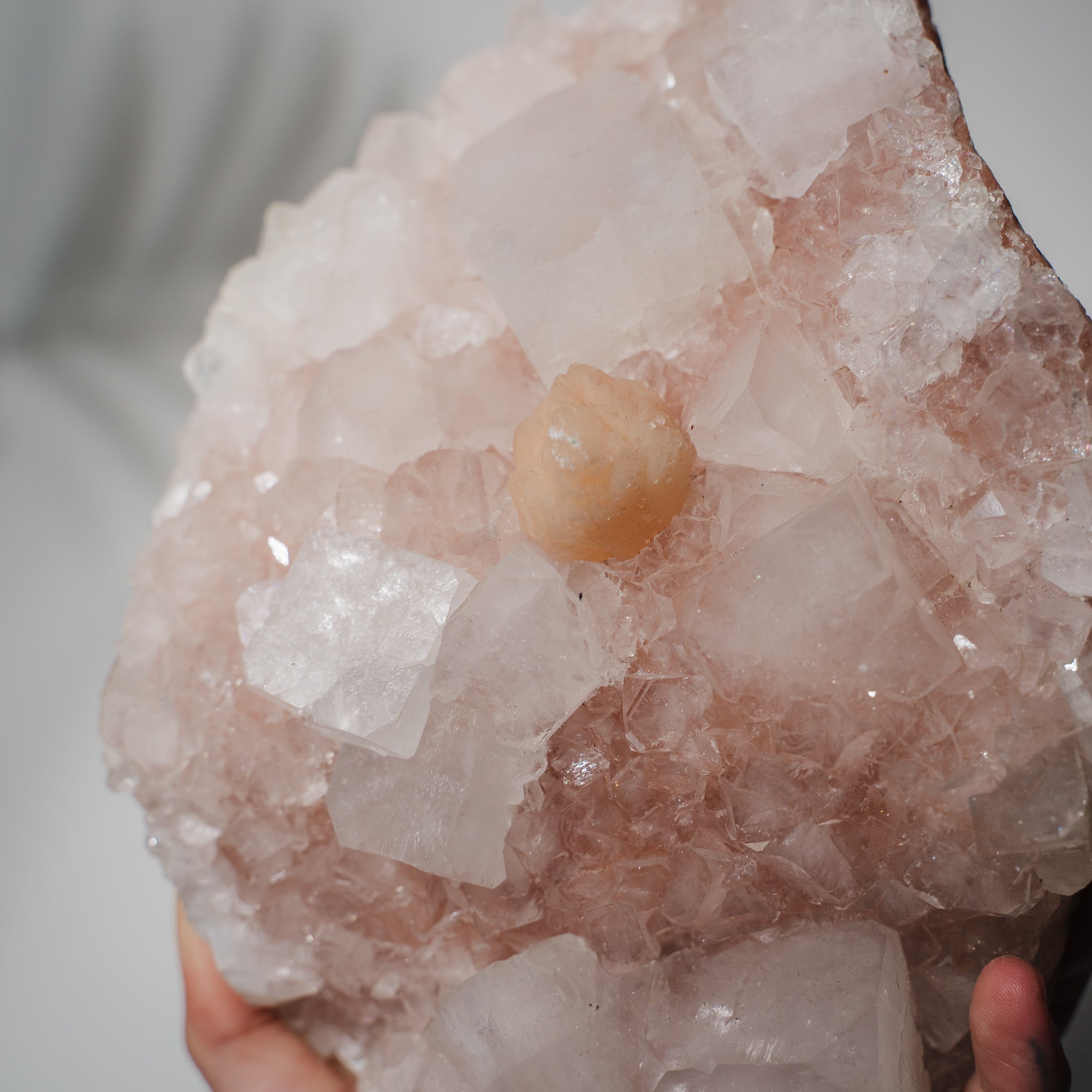 Pinke Apophyllit Stufe 530P