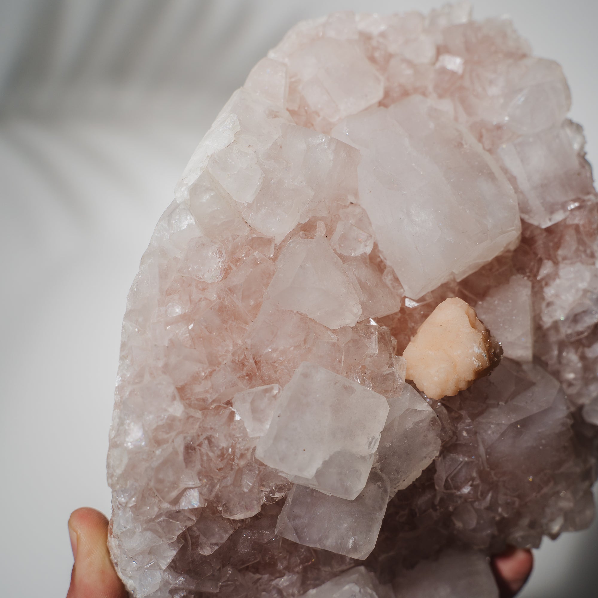 Pinke Apophyllit Stufe 530P