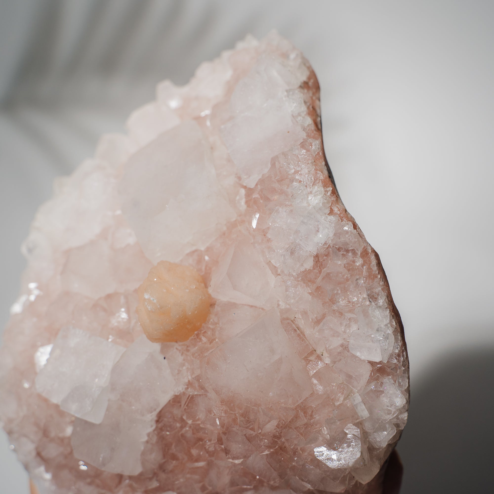 Pinke Apophyllit Stufe 530P