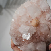 Pinke Apophyllit Stufe 530P