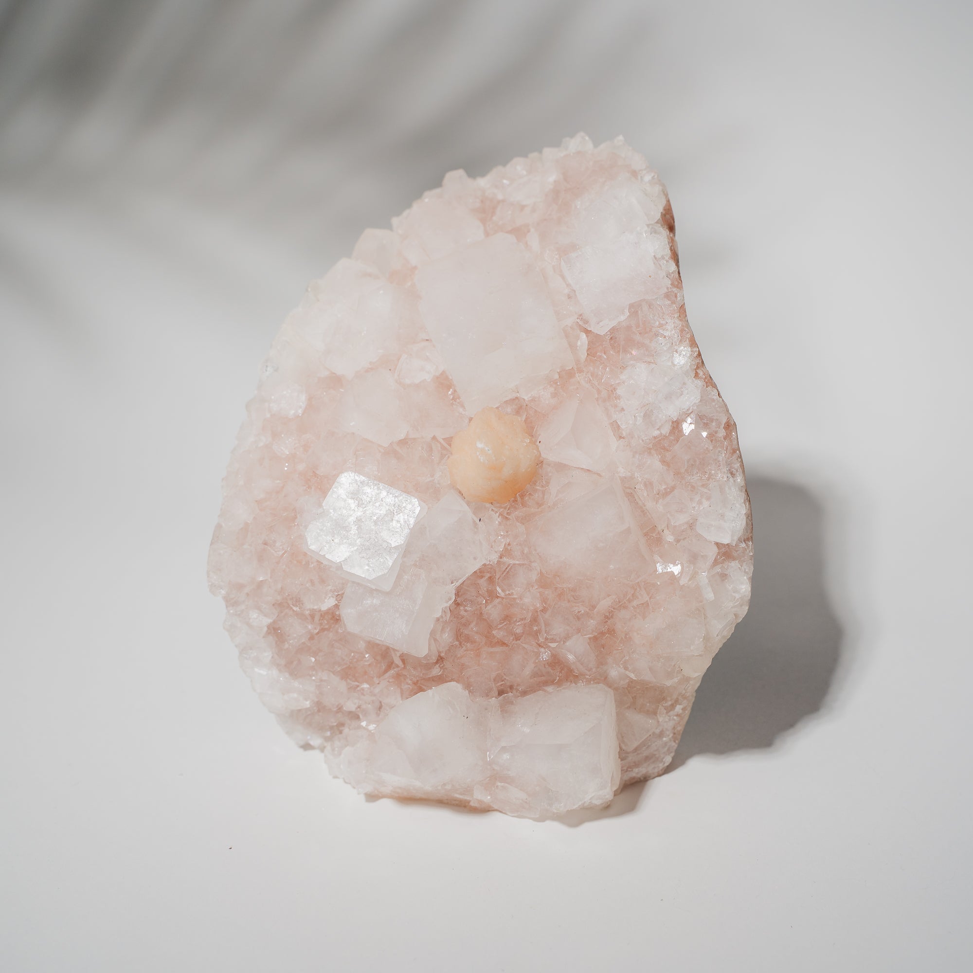 Pinke Apophyllit Stufe 530P