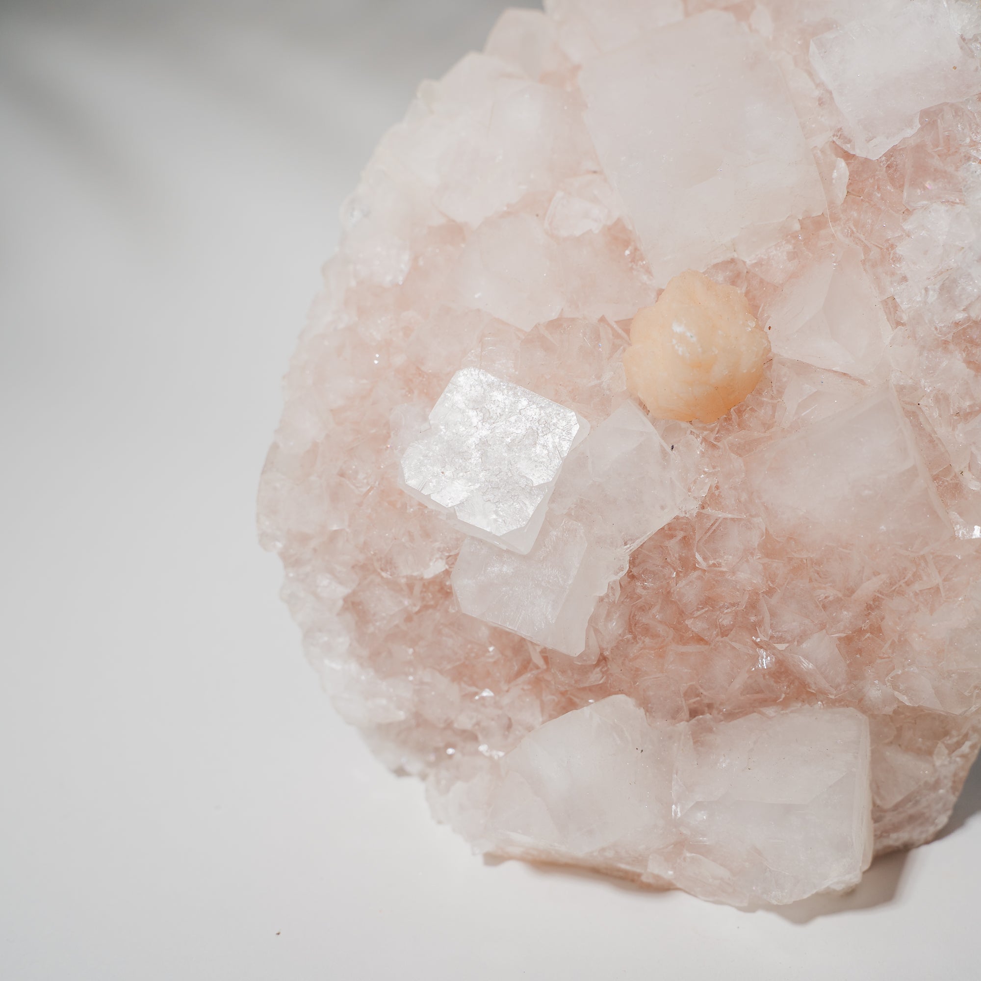 Pinke Apophyllit Stufe 530P