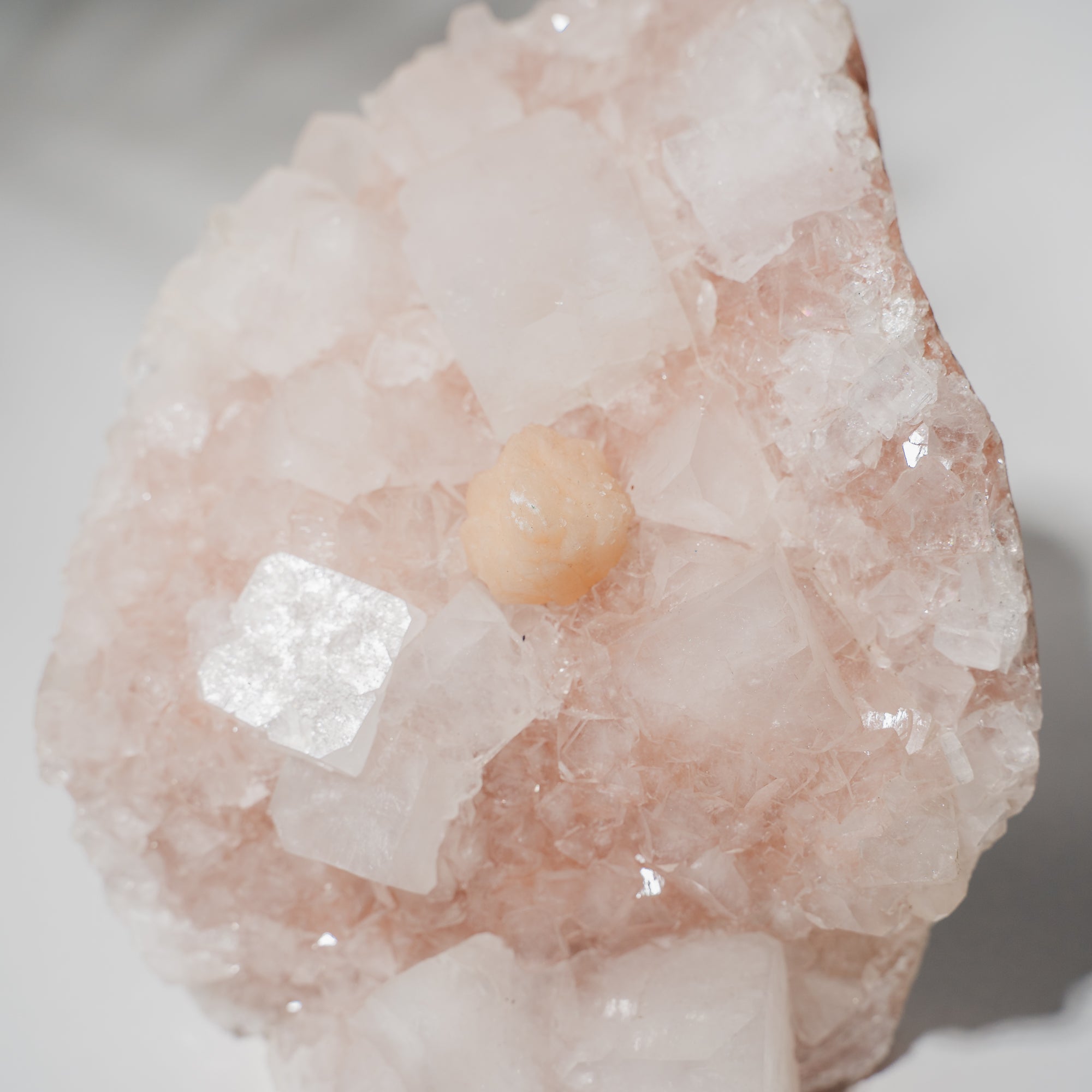 Pinke Apophyllit Stufe 530P
