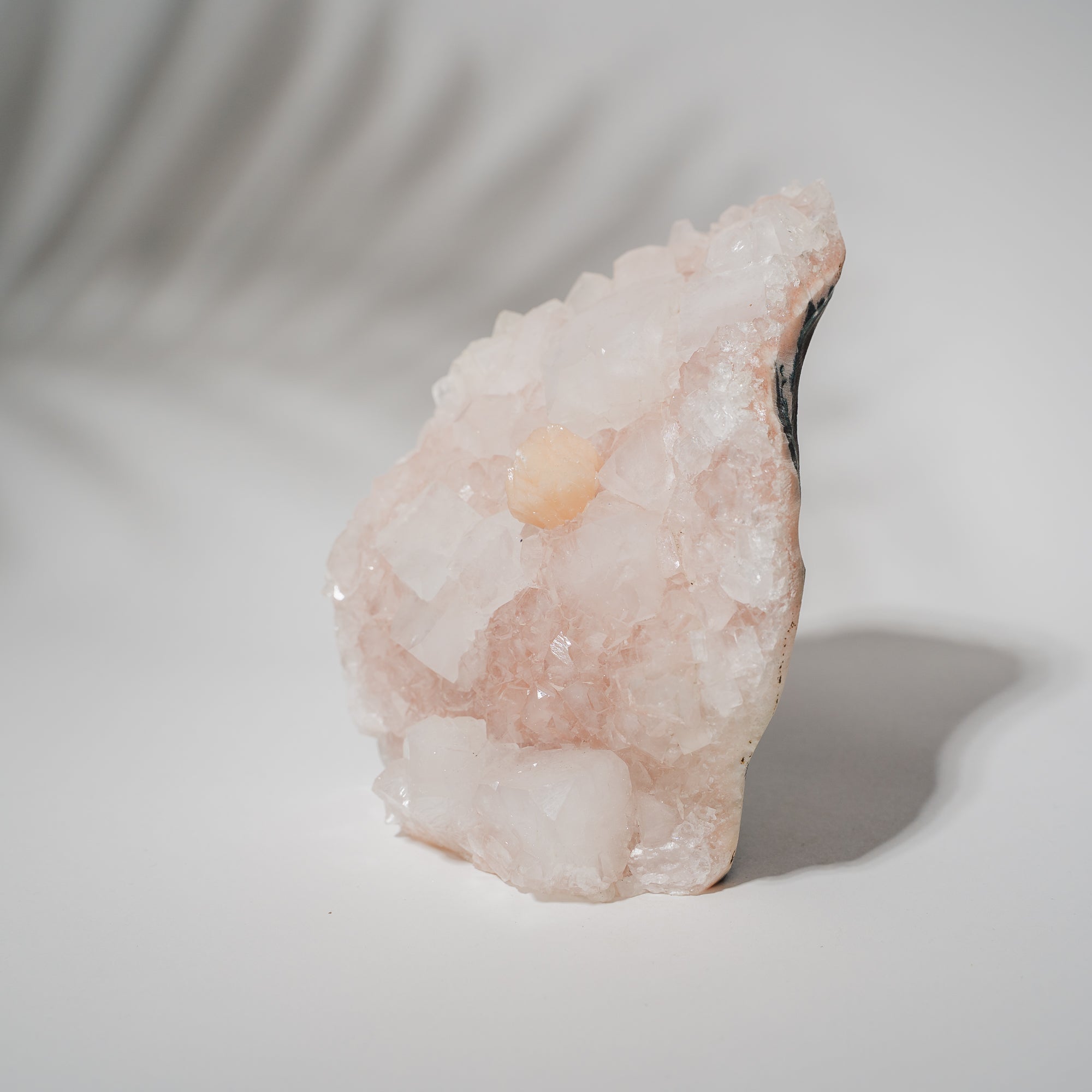 Pinke Apophyllit Stufe 530P