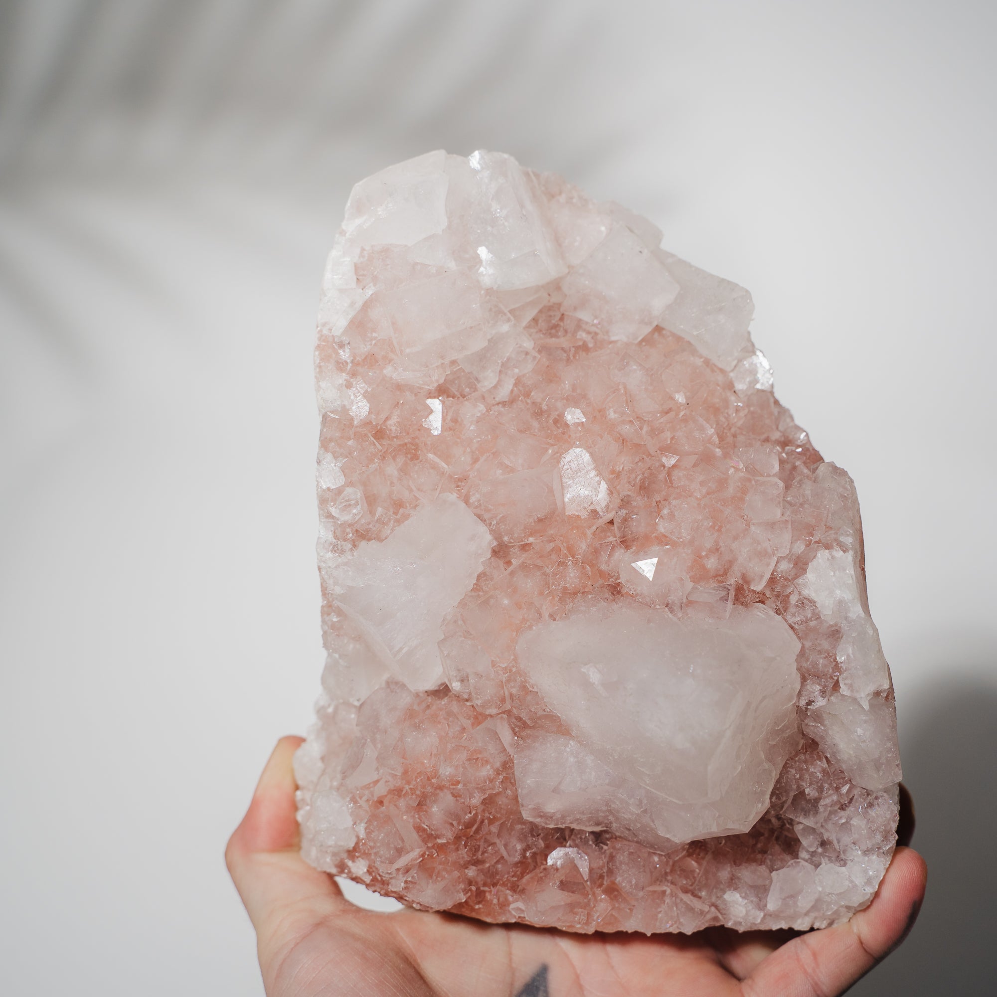 Pinke Apophyllit Stufe 368P