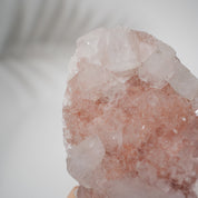 Pinke Apophyllit Stufe 368P