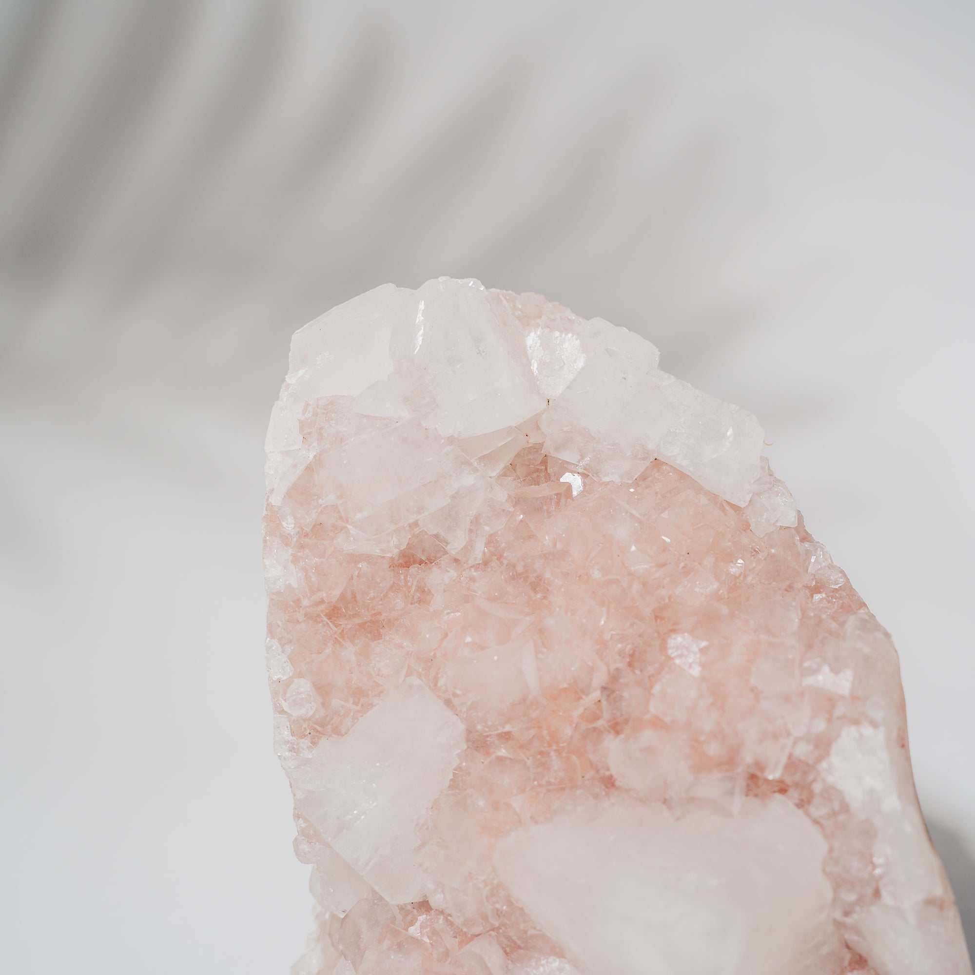 Pinke Apophyllit Stufe 368P