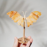 Golden Healer Schmetterling 36GA