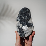 Schwarzes Chalcedon x Apophyllit 137C