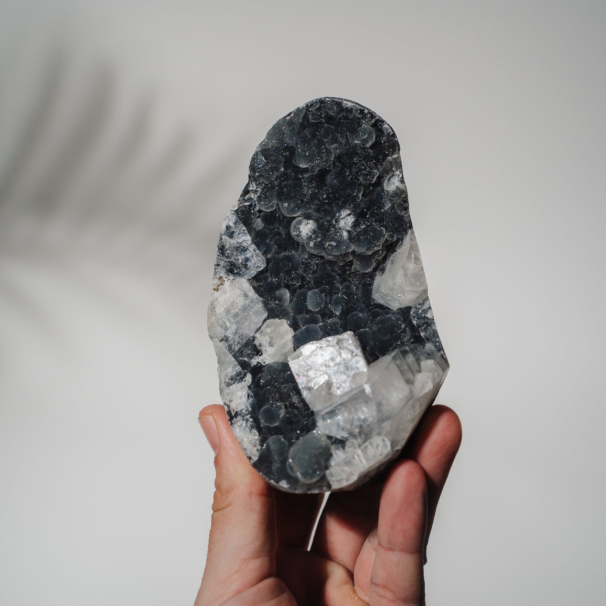 Schwarzes Chalcedon x Apophyllit 137C