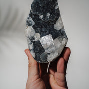 Schwarzes Chalcedon x Apophyllit 137C