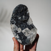 Schwarzes Chalcedon x Apophyllit 137C